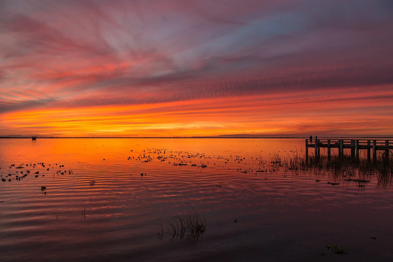 Lake Washington